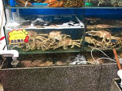水产区-蚝专家(北滘店)