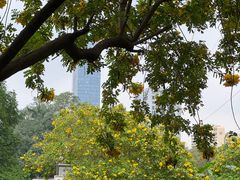 -晓港公园