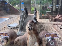 -珠海海泉湾神秘岛亲子乐园