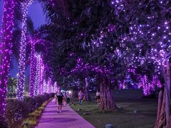 -海花岛旅游度假区