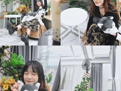 -星多哈·狗咖·拼豆·咖啡