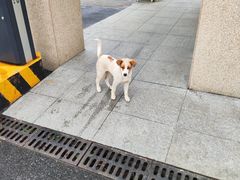 -狮麟驾校