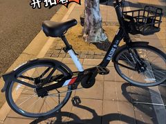 -东方体育中心(地铁站)