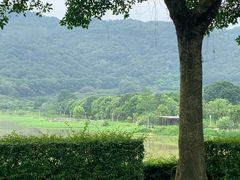 -艾米稻香小镇