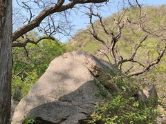 -大岭沟猕猴桃谷风景区