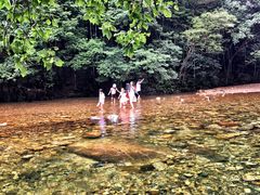 -祁门牯牛降观音堂风景区