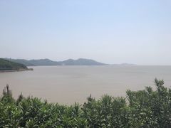 -枸杞岛