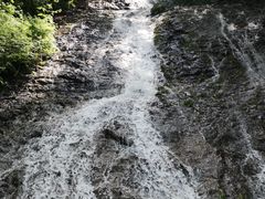 -望天鹅景区
