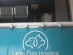 -乐派堂宠物医院·猫友好· 心脏科(东街店)