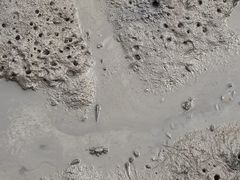 -北海金海湾红树林生态旅游区