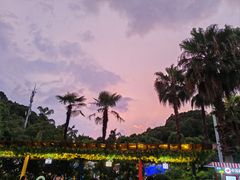 -重庆海昌加勒比海水世界