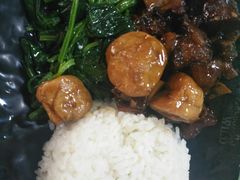 -上海野生动物园老虎餐厅