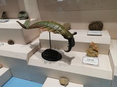 -辽宁古生物博物馆