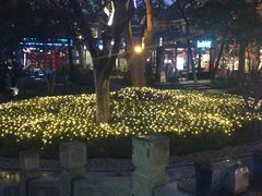 -西湖天地