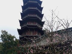 -阿育王寺