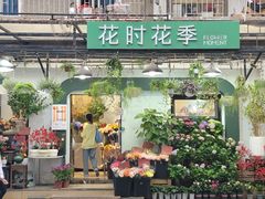 -溪岸路花鸟市场