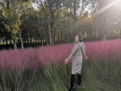 -汉长安城未央宫国家考古遗址公园