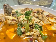 -煲来饱去冷水鱼