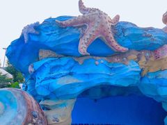 -重庆海昌加勒比海水世界