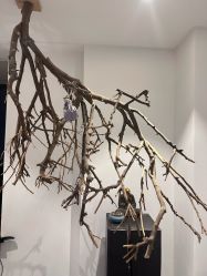 -吾之瑜生瑜伽普拉提学院