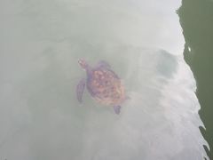 -海上驿站渔家菜馆