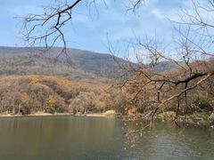-紫霞湖公园