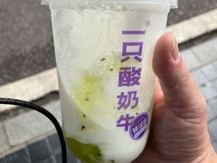 -一只酸奶牛(八一路店)