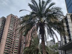 -星光摄影器材城