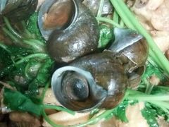 田螺鸡煲-食爺炭炉鸡煲·烧烤