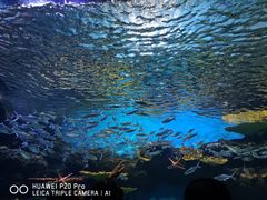 -华夏文旅海洋公园