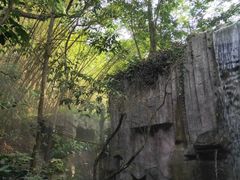 -青青世界