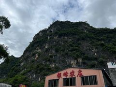 -银峰农庄·特色烧鸡·鲜无花果浸鸡