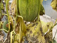 -兴芮温泉度假区