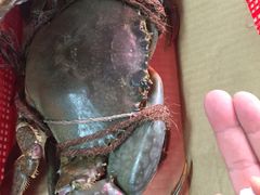 螃蟹（超大）-龙海鲜螃蟹王(宏茂桥店)