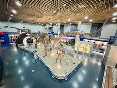 -国家自然博物馆