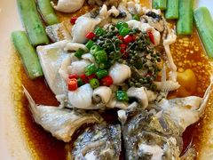 -猪肉婆私房菜(容桂总店)
