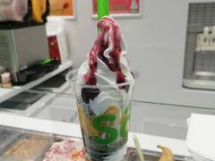 -Salud撒露欧洲冻酸奶(五道口购物中心店)