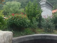 -麦积山温泉