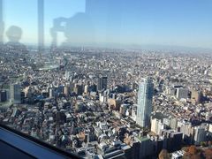 -东京都厅舍