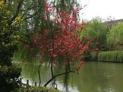 android_upload_pic-东水关遗址公园