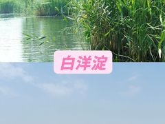-白洋淀景区