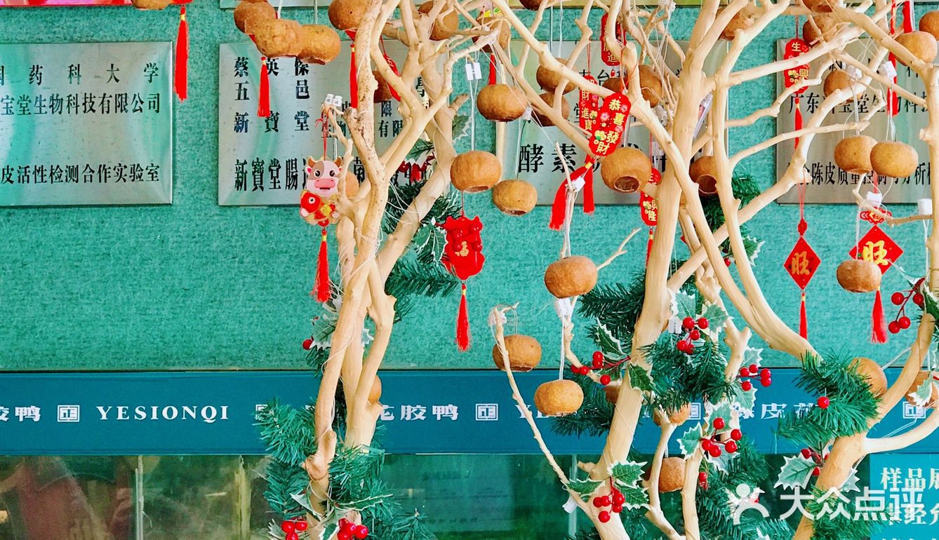🍋深圳首家｜夏日最强百搭CP，陈皮也太好磕了