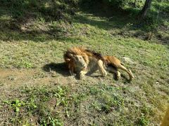 -石家庄市动物园