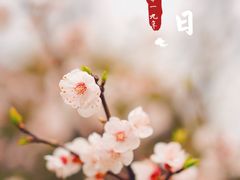 -苏州河梦清园环保主题公园