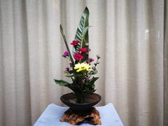 -白鹭原茶艺馆
