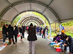 -人民公园-相亲角