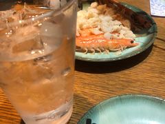 -海桐
