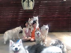 -TrueLove @ Neverland (Husky Cafe)
