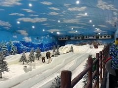 -世界之窗阿尔卑斯冰雪世界