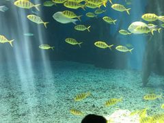 -泉城欧乐堡海洋极地世界